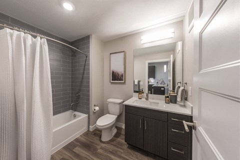 a bathroom with a shower toilet sink and a mirror