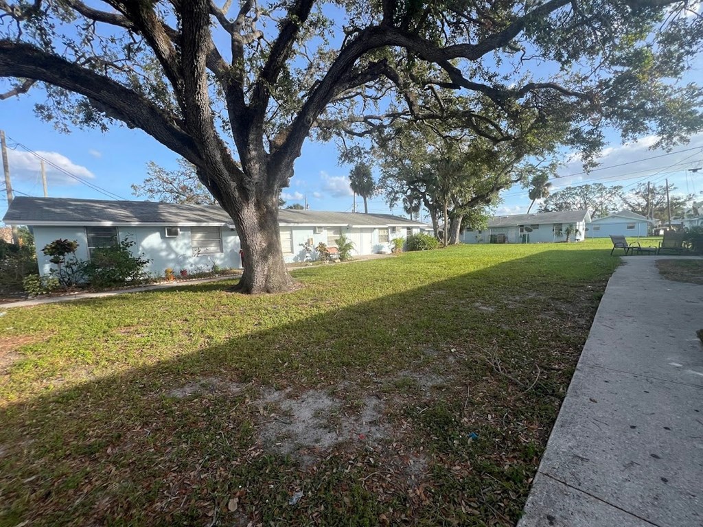 A tree in a grassy area with houses in the background.