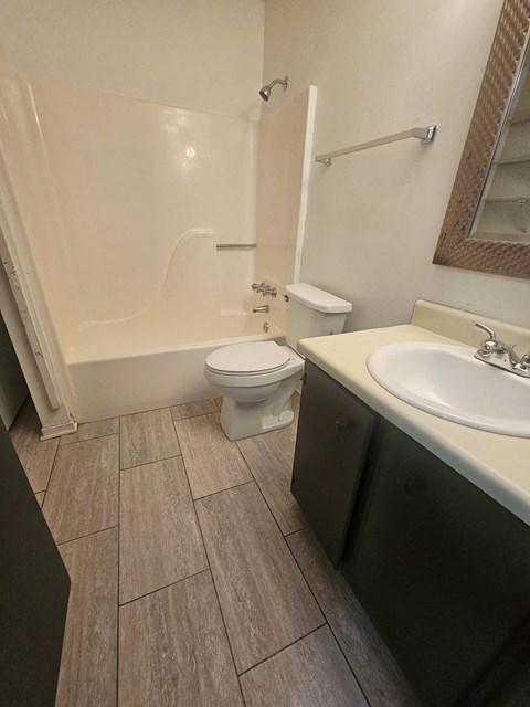 a bathroom with a toilet and a sink and a bath tub