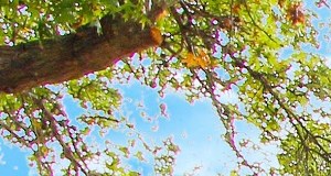 Greenmar Apartments Apartments In Fenton Mo