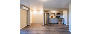 Studio, 1 Bathroom (Fully Remodeled)