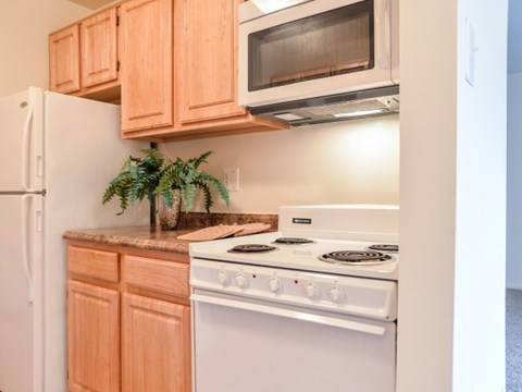 a kitchen with a stove and a microwave