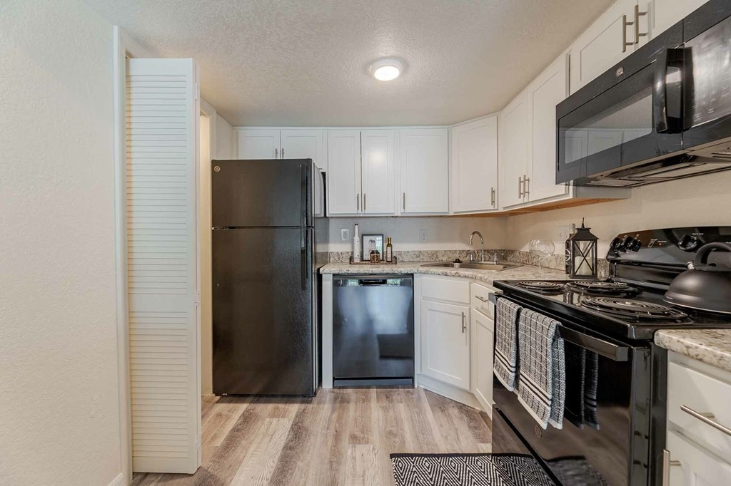A kitchen with a black refrigerator and stove.