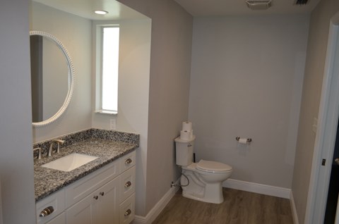 a bathroom with a toilet and a sink and a mirror
