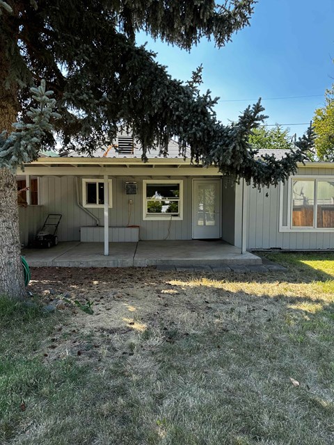 the front of the house with a large tree in the yard
