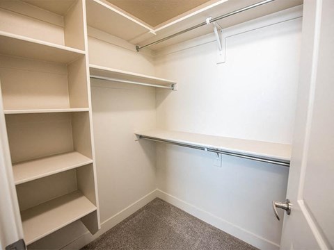 A white closet with shelves and a carpeted floor.