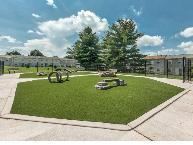 A playground with a green lawn and a yellow slide.