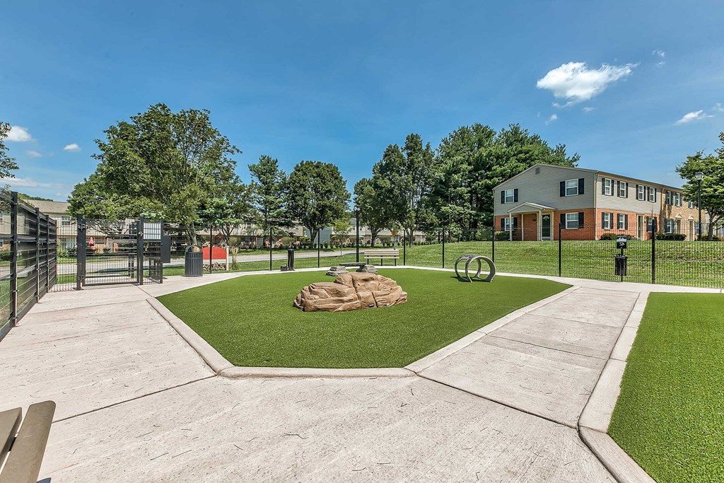 our apartments have a spacious dog park with grass