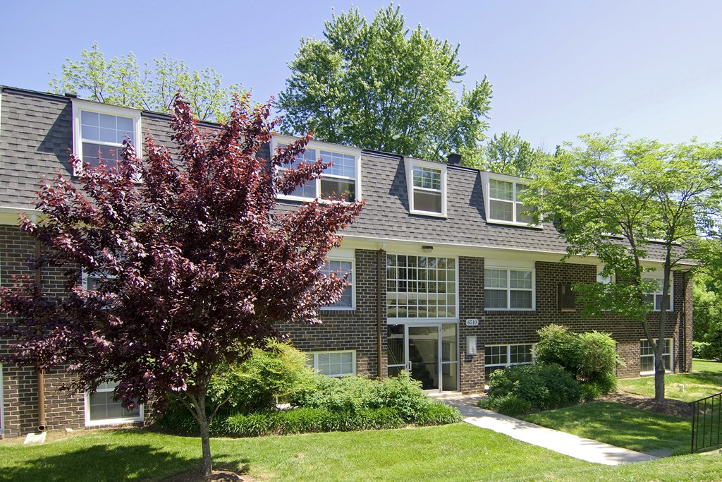 A red tree in front of a grey house.