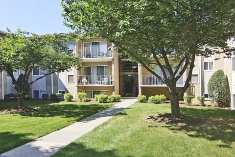A tree in front of a building with a walkway in between.