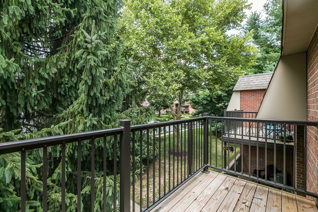 A balcony with a black railing and a wooden floor overlooks a lush green backyard.
