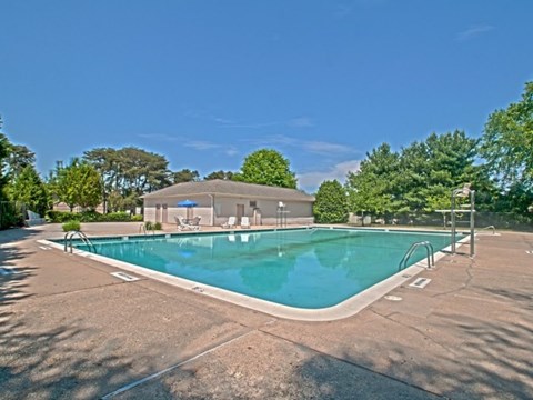 A swimming pool surrounded by a concrete patio and trees.