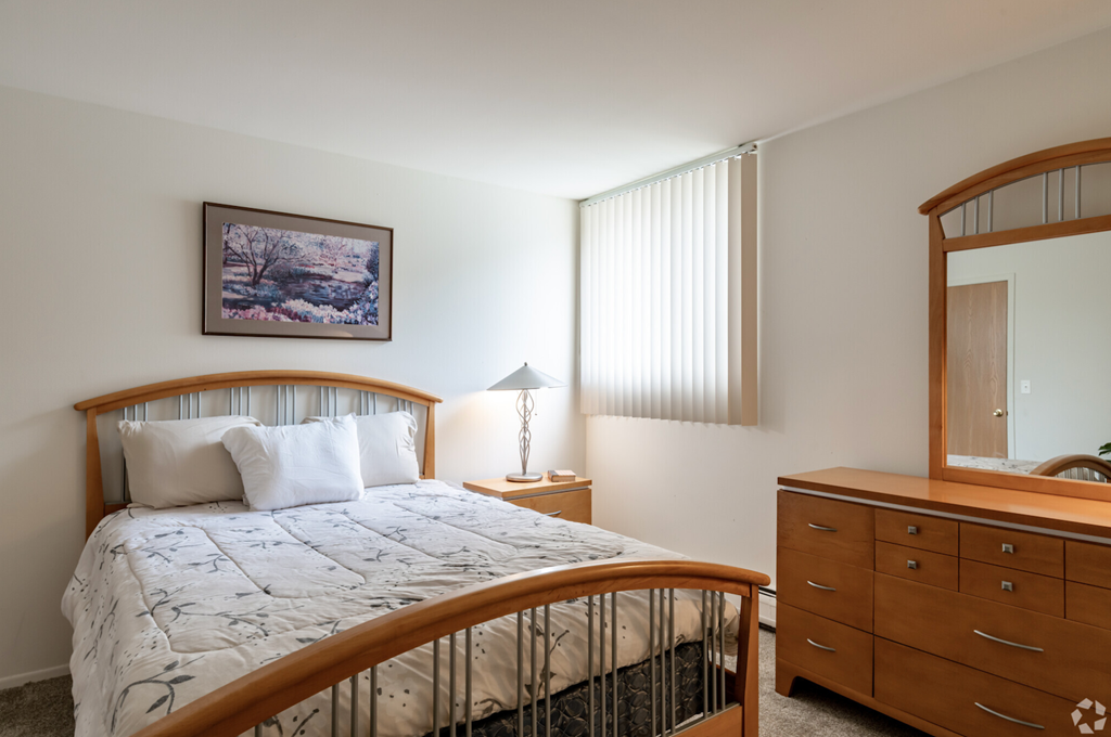 a bedroom with a bed and a dresser and a mirror