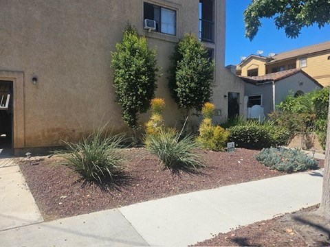 A brown building with a green tree in front.