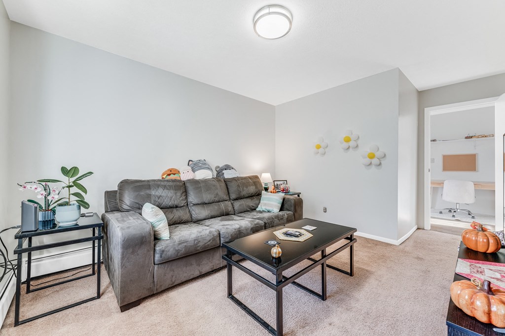 A living room with a grey couch, a black coffee table, and a plant on a table.