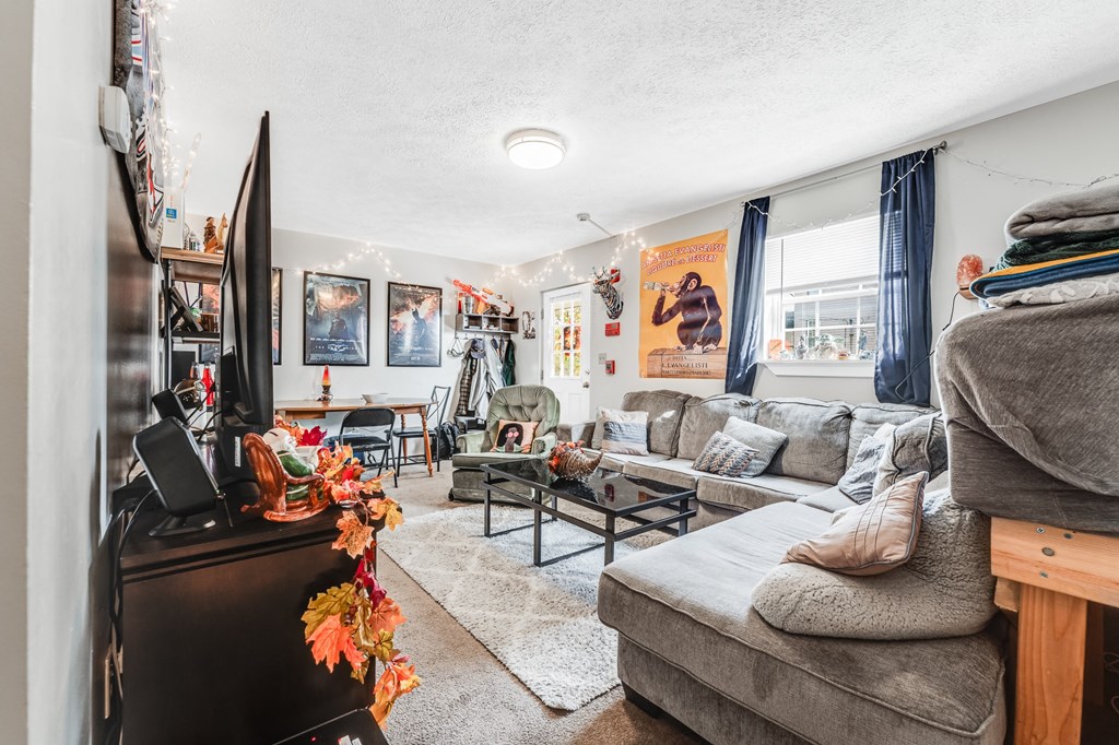 A living room with a grey couch, a coffee table, and a TV.