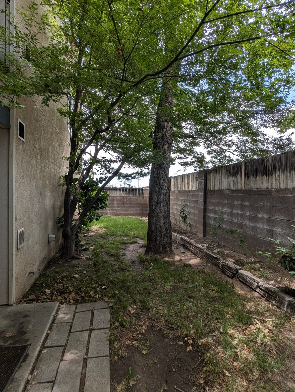 the back yard of a house with trees and a fence
