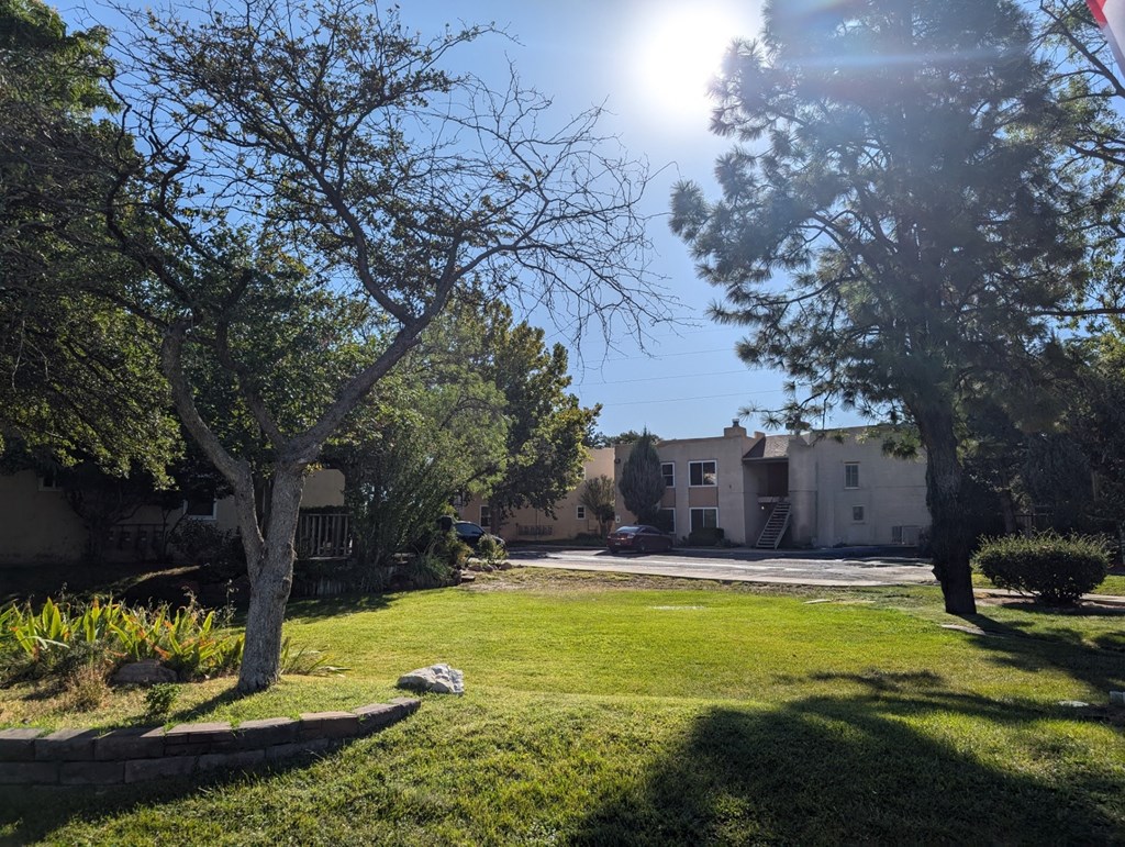 a yard with trees and houses in the background