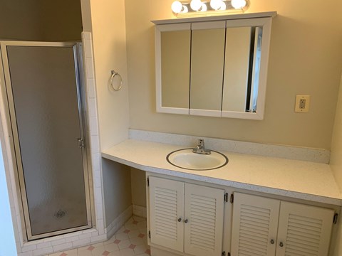 A bathroom with a sink, mirror, and shower.