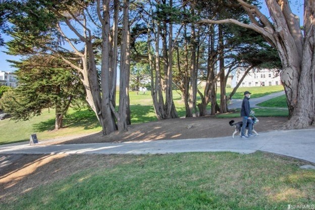 A person walking a dog on a path in a park.