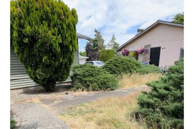 A house with a grey roof and a green bush in front.