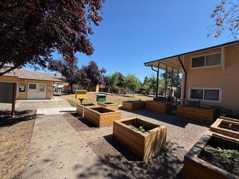 A sunny day at a community garden with raised beds and a small building in the background.