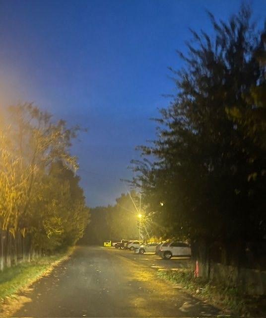 A street with parked cars and trees on both sides.