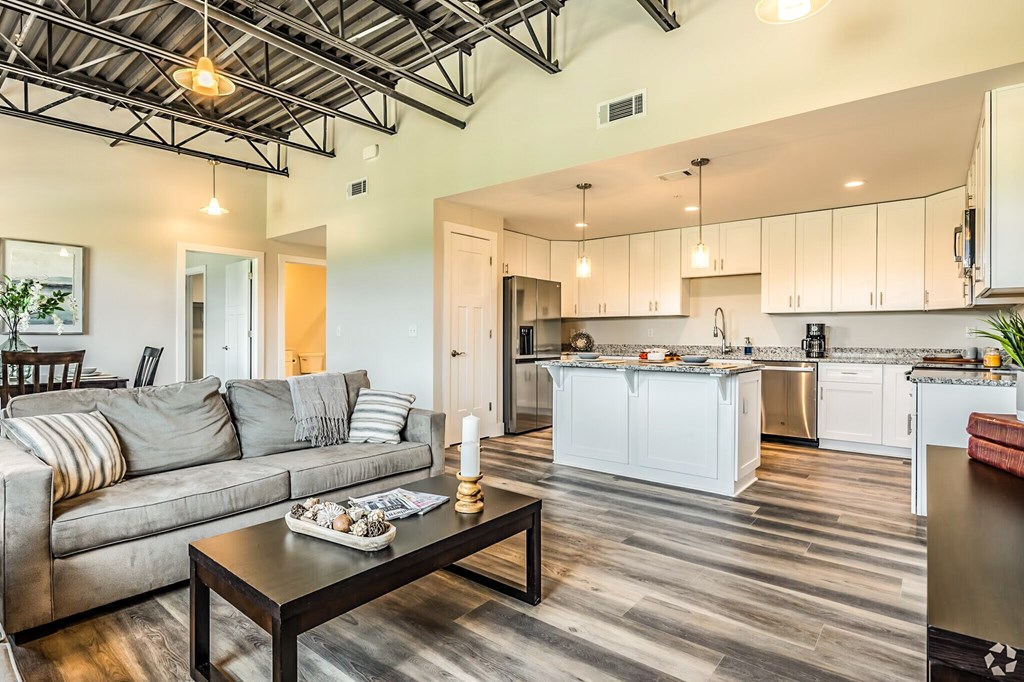 A modern open plan living and kitchen area with a grey sofa.