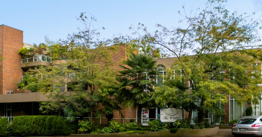 A building with a sign that says "The Cottage" is surrounded by trees and bushes.