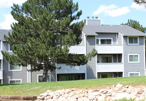 A grey apartment building with a tree in front.