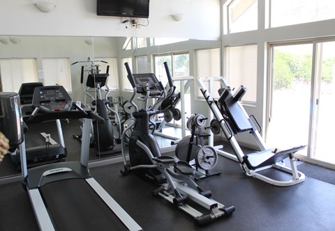 A gym with treadmills, exercise bikes, and other equipment.