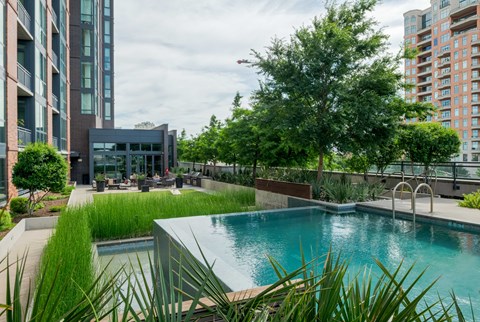 A pool surrounded by greenery and buildings in the background.