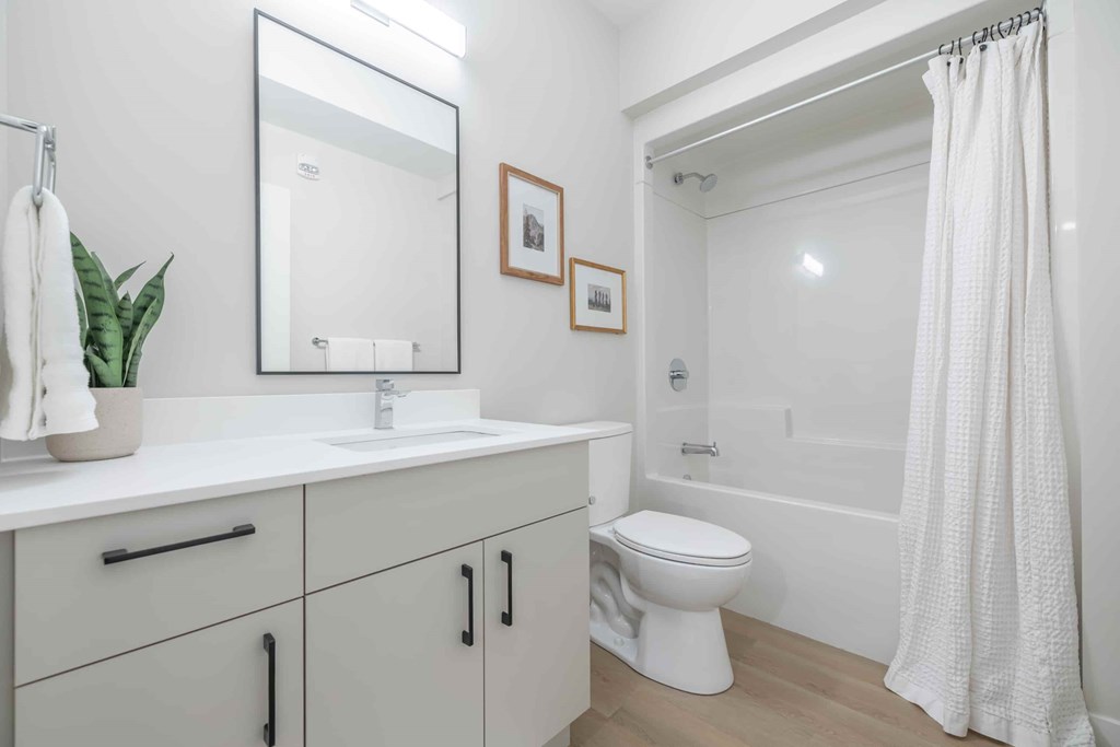 A white bathroom with a toilet, sink, and a plant.
