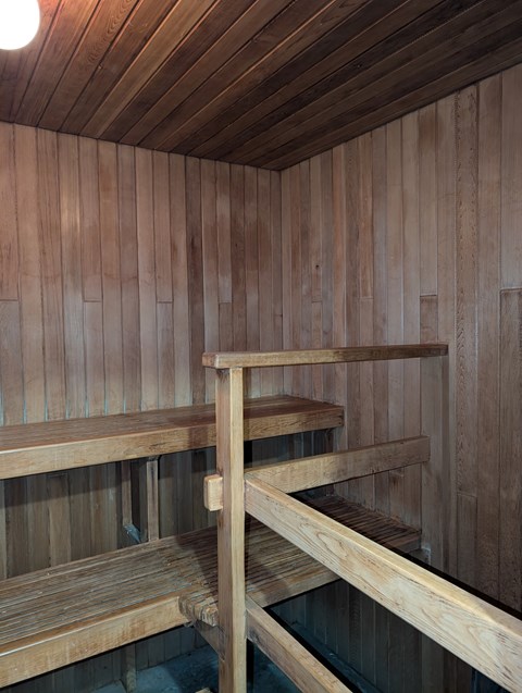A wooden sauna with benches and a ladder.