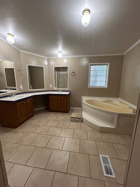 a bathroom with a tub and a sink and a mirror