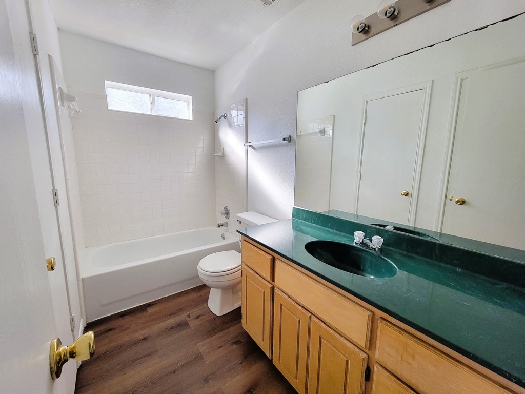 a bathroom with a sink and a toilet and a bath tub