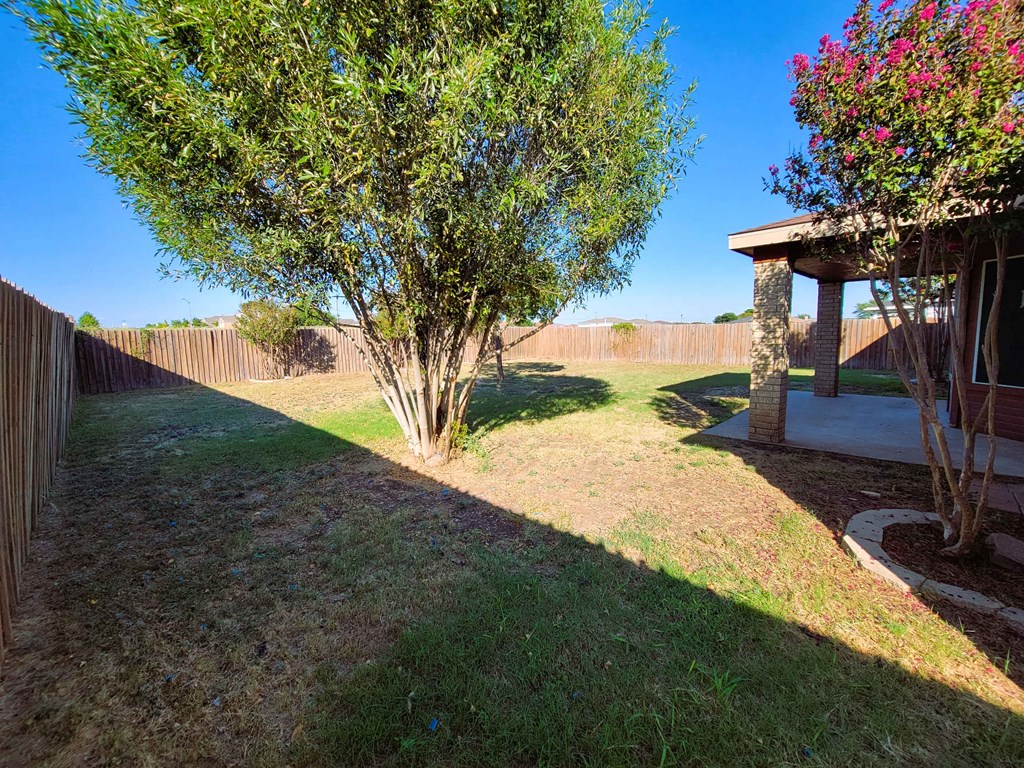 a backyard with a tree and a patio