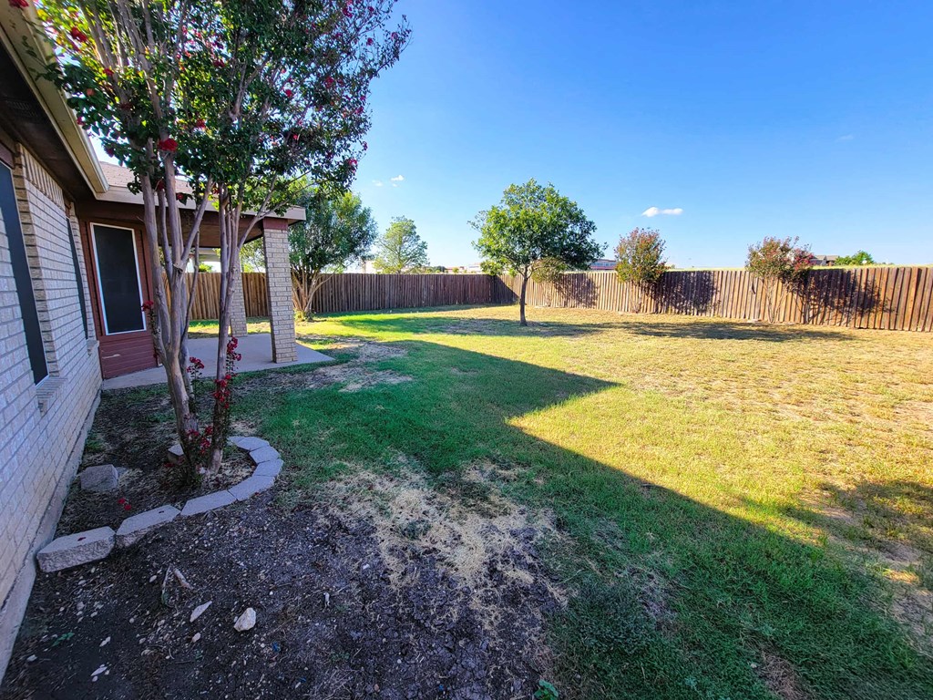 a backyard with a house and a tree