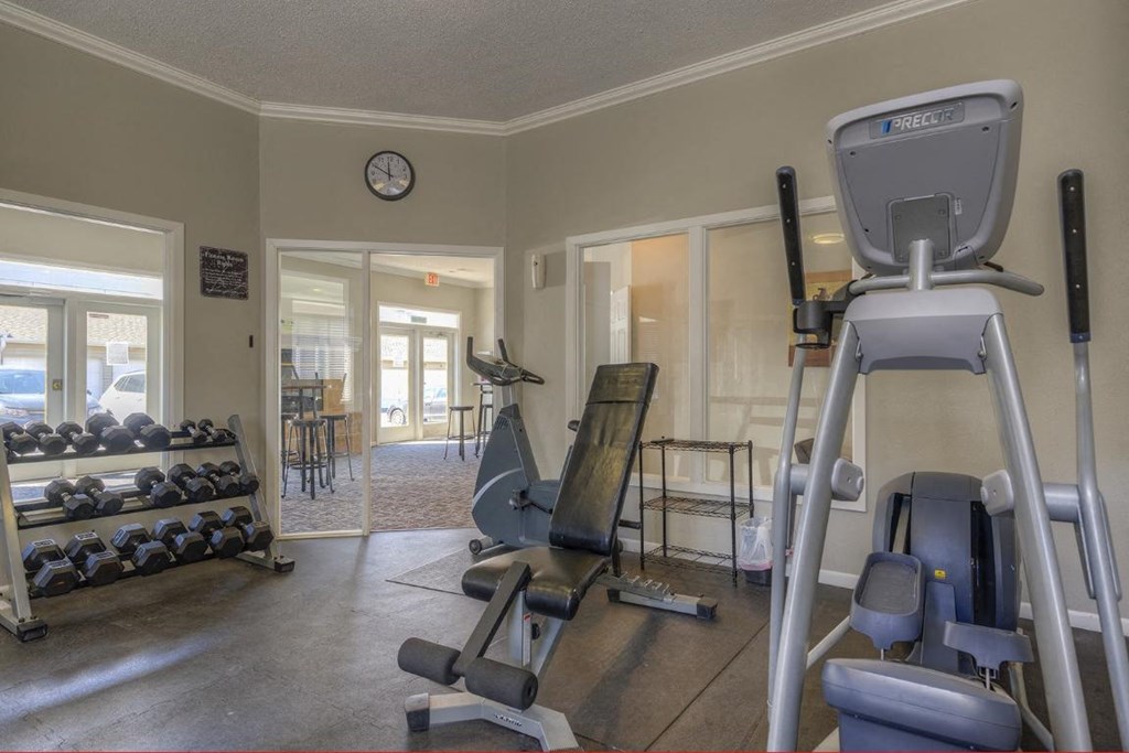 a gym with weights and cardio equipment in a home gym