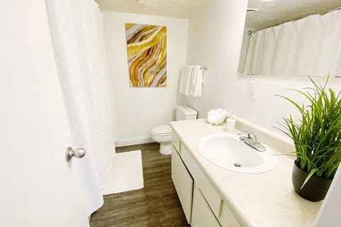 a bathroom with a sink and a toilet and a plant