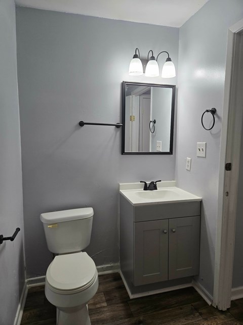 A bathroom with a toilet, sink, mirror and light fixture.