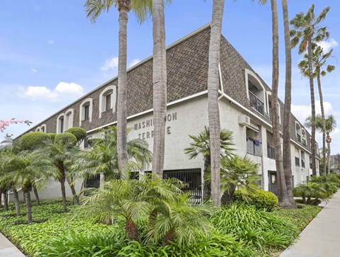 A building with the words "Washington Terrace" on it is surrounded by palm trees.