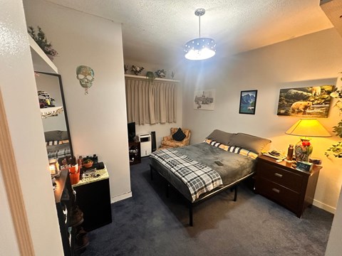 A bedroom with a bed, dresser, and mirror.
