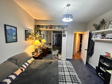 A bedroom with a bed, dresser, and a Christmas tree.