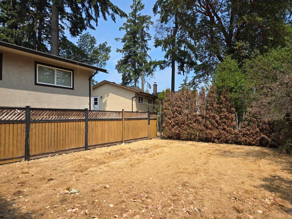 A backyard with a fence and trees.