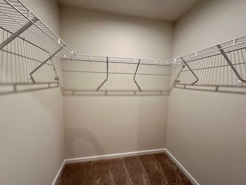 the spacious walk in closets in every home