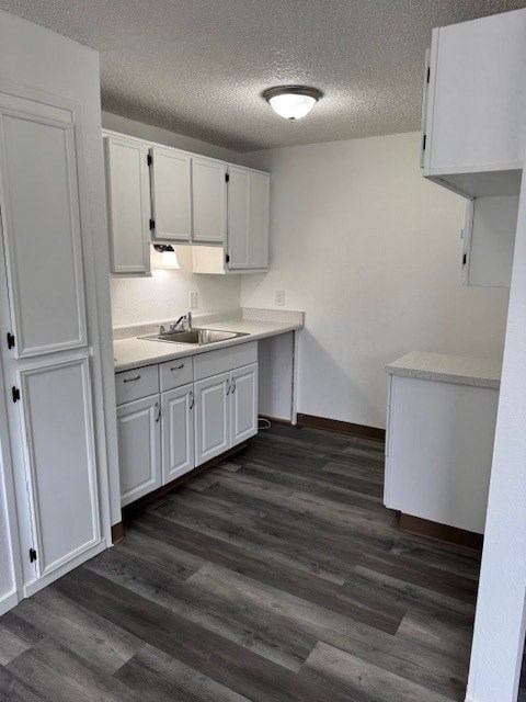 A kitchen with white cabinets and a sink.