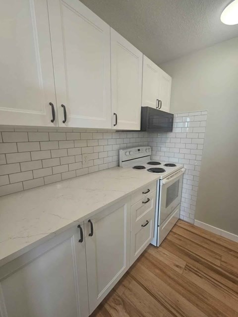1612-1105 Jalna Blvd 2 Beds Apartment for Rent