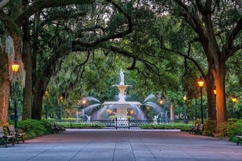 a fountain in the middle of a park with trees