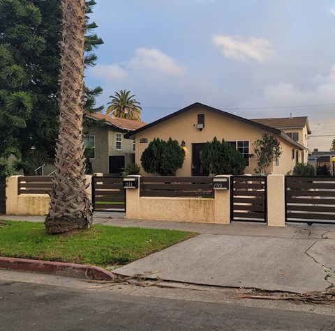 a house with a fence and a palm tree